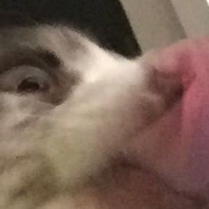 Meet your Posher, Kyrian